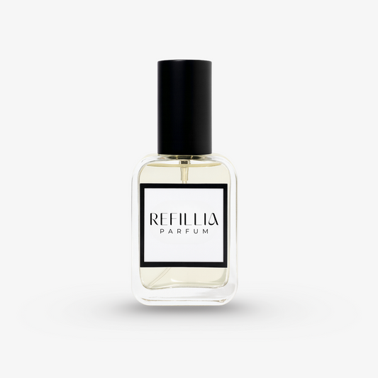 N°027 Audace
