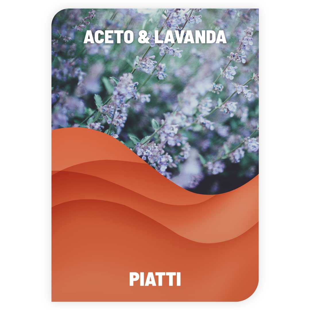 Lavapiatti Aceto e Lavanda