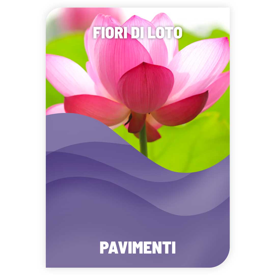 Lavapavimenti Fiori di Loto