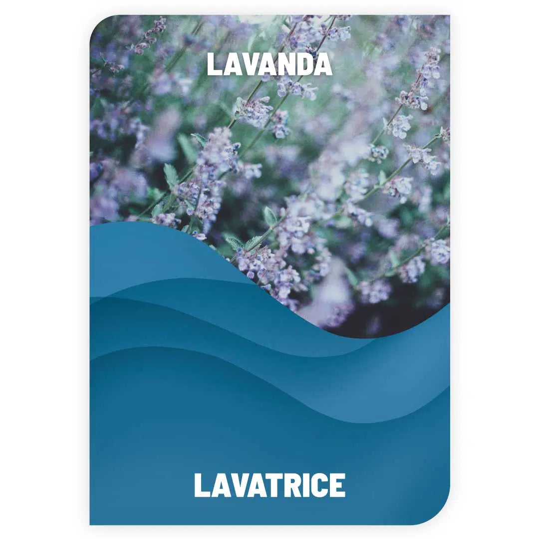Detersivo Lavatrice LAVANDA