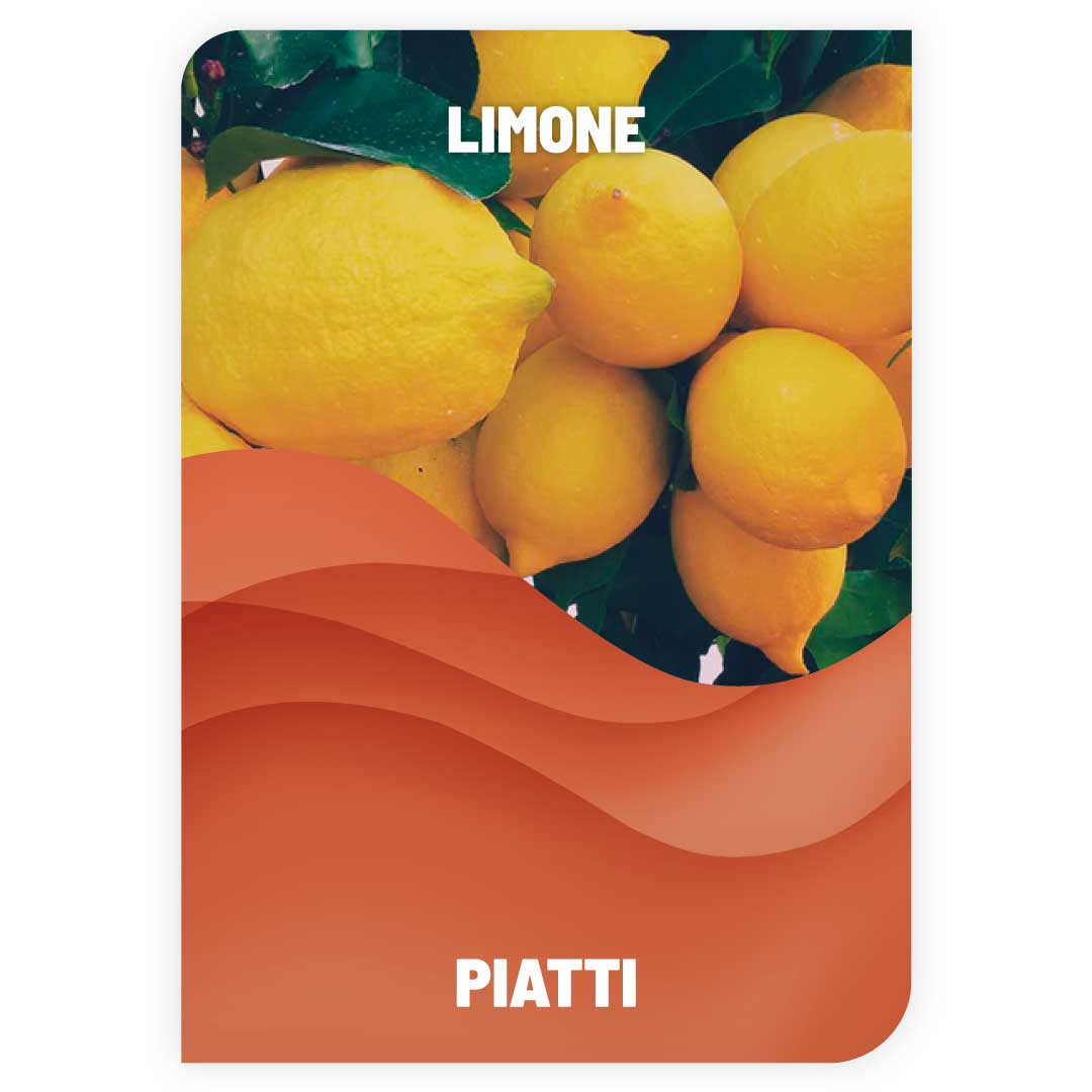 Lavapiatti Limone