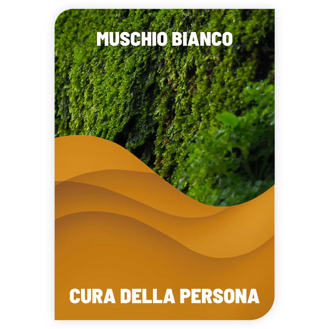 Lavamani Igienizzante