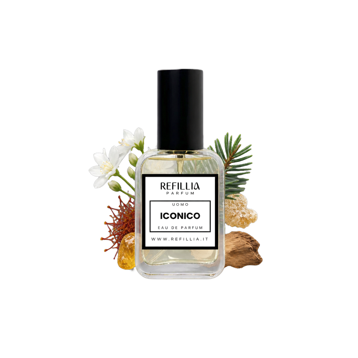 Profumo Uomo - Iconico, flacone con le note olfattive