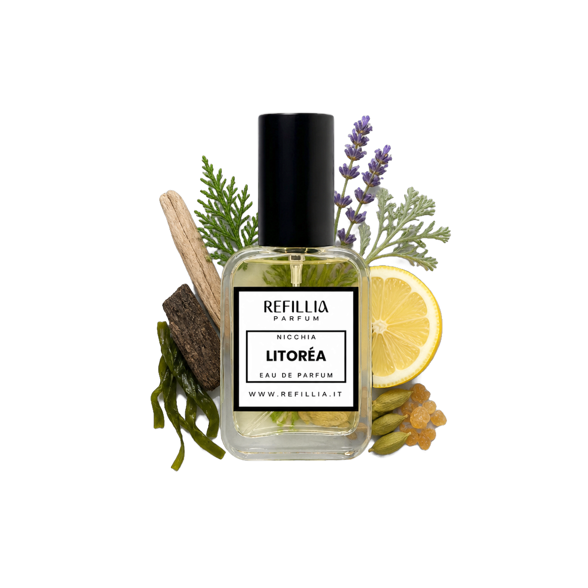 Profumo di Nicchia - Litoréa, flacone con le note olfattive