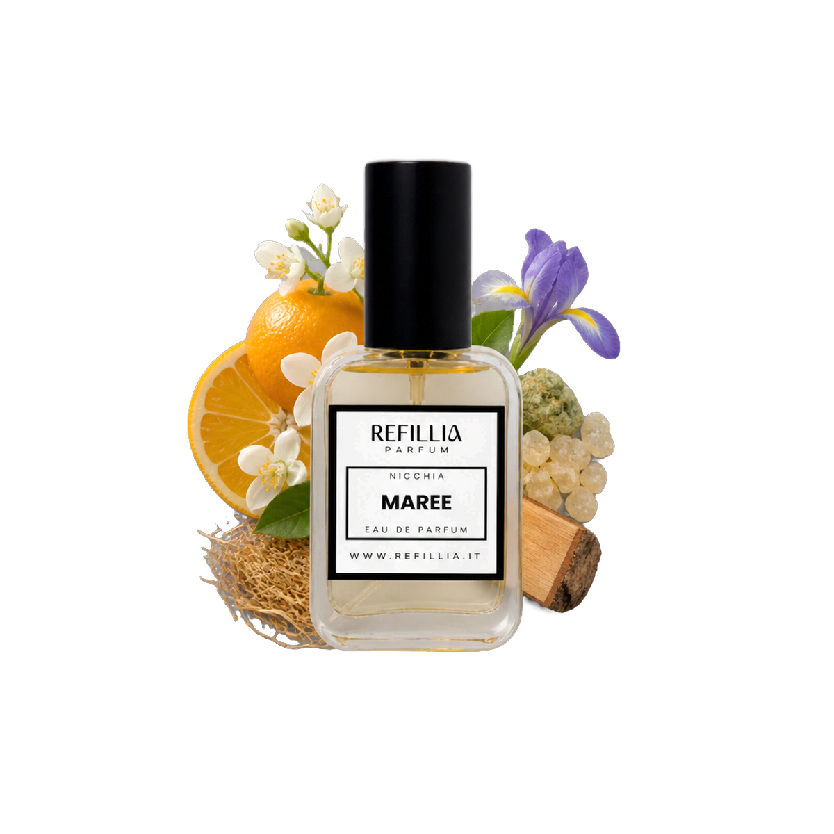 Profumo di Nicchia - Maree, flacone con le note olfattive